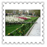 ��� ��� 60