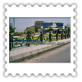 ��� �����