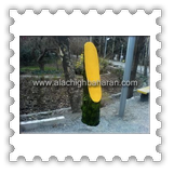 ����� ���� �� ��� �����