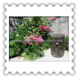 ��� ����� ����